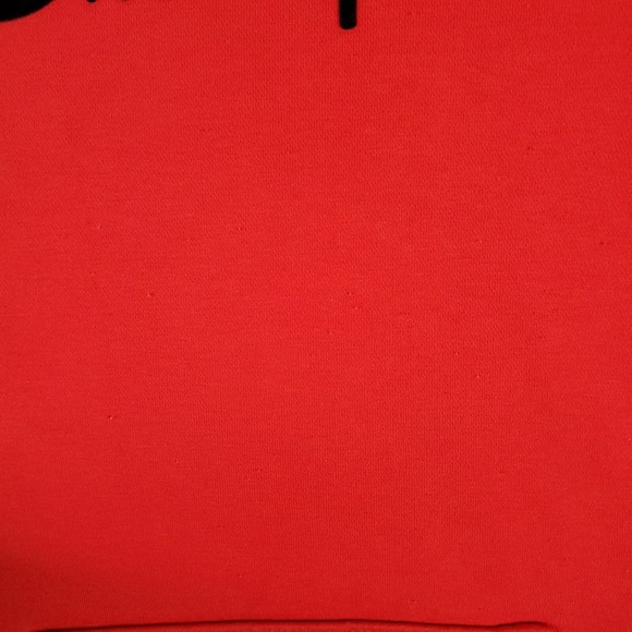 Champion Red Casual Pullover Sweater Hoodie Sweatshirt Adult Size Small - Picture 6 of 12